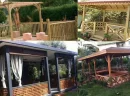 Kamelya Modelleri ile Bahçenizi Güzelleştirin