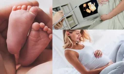 Hamilelikte Kontrol Takibinin Önemi ve Amaçları