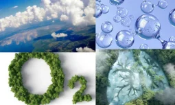 The Air We Breathe: The Fundamental Role of Oxygen in Our Body