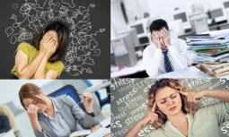 Stres Yönetimi Eğitimi ile Günlük Yaşam Stres Azaltma Yolları