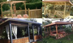 Kamelya Modelleri ile Bahçenizi Güzelleştirin