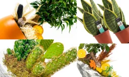 What are the benefits of fresh flowers?
