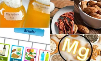 Sağlıklı Diyet Listeleri