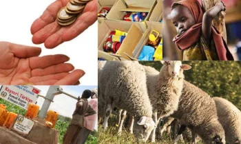 AKİKA KURBANI İÇİN NE YAPMALI?