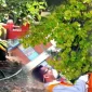 Chemical Balance Is Important for Pest Control