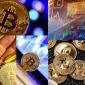 Which Are the Most Profitable Coins?