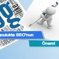 Blogculukta SEO’nun Önemi