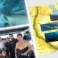 Kızıldeniz Tur Özellikleri Nelerdir