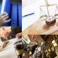 What are the Characteristics of Labor Law?