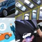 What Are the Costs of Car Rentals?