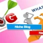 Niche Blog Nedir?