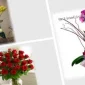 Women Don't Pass Without Flowers, Life Doesn't Pass Without Women
