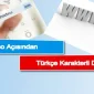 Turkish Character Domains in Terms of SEO