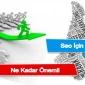 How Important Are Toplists for SEO?