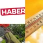 The Importance of Weather in News